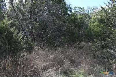 979 & 987 Deer Valley Pass, Spring Branch, TX 78070 - Photo 16