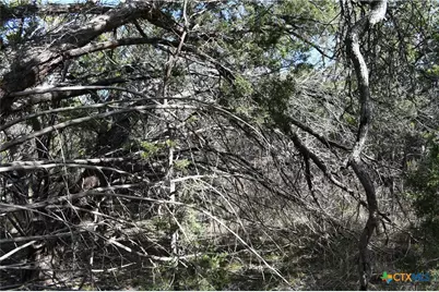 979 & 987 Deer Valley Pass, Spring Branch, TX 78070 - Photo 6
