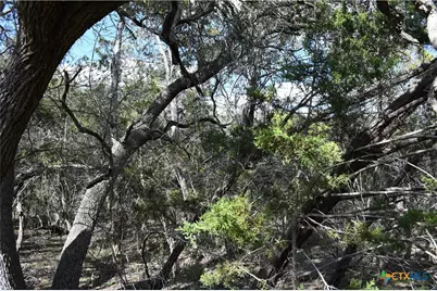 979 & 987 Deer Valley Pass, Spring Branch, TX 78070 - Photo 4
