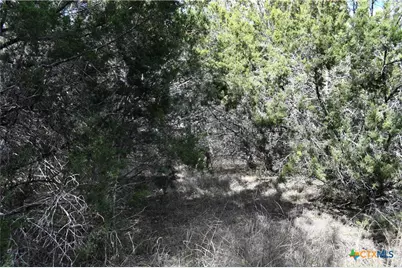 979 & 987 Deer Valley Pass, Spring Branch, TX 78070 - Photo 10