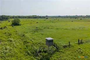 505 Black Bayou Rd #2 Rd, Bloomington, TX 77951 - Photo 14