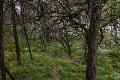 Tbd Dry Creek Crossing, New Braunfels, TX 78130 - Photo 8