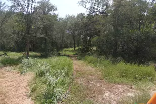 90 Romberg Rd, Dale, TX 78616 - Photo 6