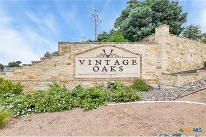 1424 Decanter Drive, New Braunfels, TX 78132 - Photo 44