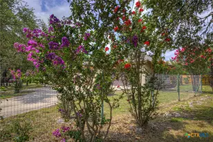 737 La Paloma Dr, Canyon Lake, TX 78133 - Photo 36