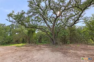 12200 Private Road 3641, Kempner, TX 76539 - Photo 8