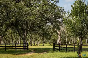 10488 Hwy 304, Harwood, TX 78629 - Photo 10