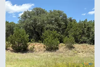 0 County Road 303, Bertram, TX 78605 - Photo 2