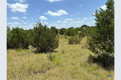 0 County Road 303, Bertram, TX 78605 - Photo 6