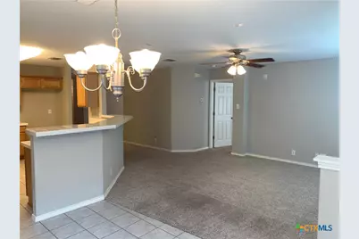 217 Roadrunner Avenue, New Braunfels, TX 78130 - Photo 10