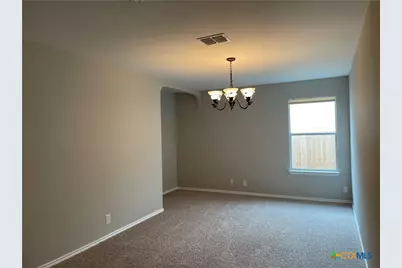 217 Roadrunner Avenue, New Braunfels, TX 78130 - Photo 4