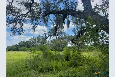 596 Hallemann Road, Goliad, TX 77963 - Photo 34