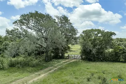 596 Hallemann Road, Goliad, TX 77963 - Photo 20
