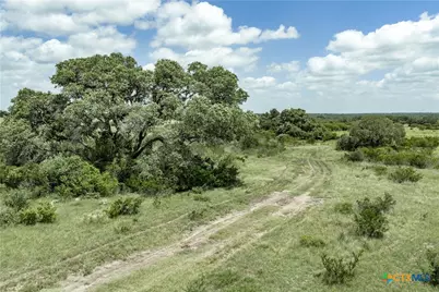 596 Hallemann Road, Goliad, TX 77963 - Photo 16