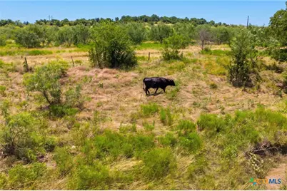 1854 County Road 104, Buckholts, TX 76518 - Photo 6