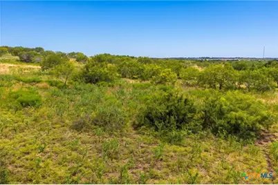1854 County Road 104, Buckholts, TX 76518 - Photo 14