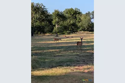 13260 Estate Trail, Belton, TX 76513 - Photo 32