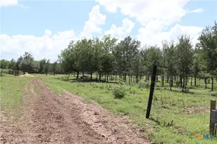 1220 Brushy Branch Rd, Lockhart, TX 78644 - Photo 6