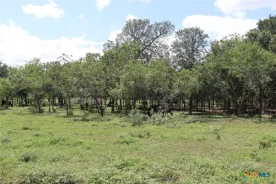 1220 Brushy Branch Road, Lockhart, TX 78644 - Photo 1