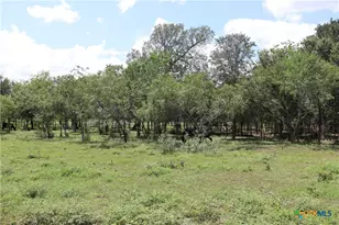 1220 Brushy Branch Rd, Lockhart, TX 78644 - Photo 1