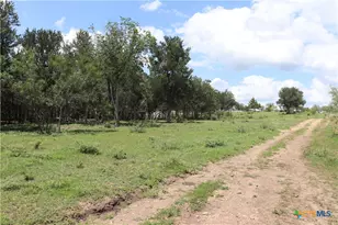 1220 Brushy Branch Rd, Lockhart, TX 78644 - Photo 2