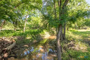 13510 Private Rd 3642, Kempner, TX 76539 - Photo 4