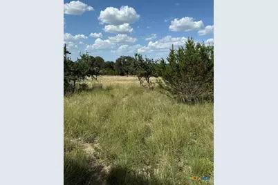 137 W Pat Dolan, Blanco, TX 78606 - Photo 4