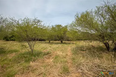 0 Green-Dewitt Road, Cuero, TX 77954 - Photo 28