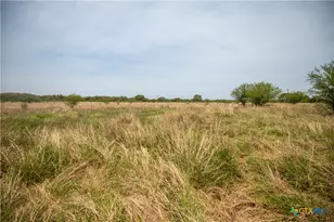 0 Green Dewitt Rd, Cuero, TX 77954 - Photo 14