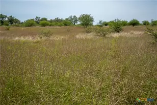 0 Green Dewitt Rd, Cuero, TX 77954 - Photo 38