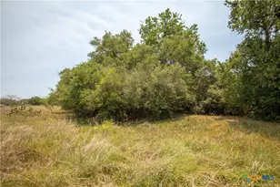 0 Green Dewitt Rd, Cuero, TX 77954 - Photo 24