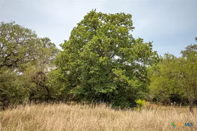 0 Green-Dewitt Road, Cuero, TX 77954 - Photo 18
