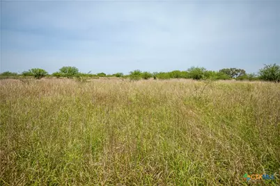 0 Green-Dewitt Road, Cuero, TX 77954 - Photo 10