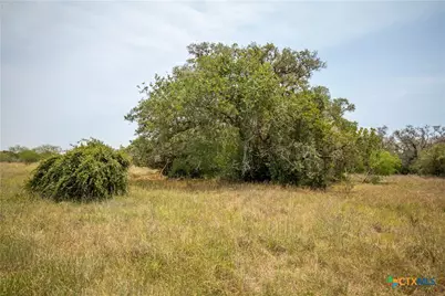 0 Green-Dewitt Road, Cuero, TX 77954 - Photo 20
