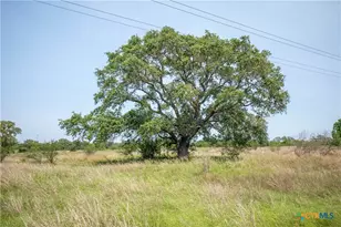 0 Green Dewitt Rd, Cuero, TX 77954 - Photo 34