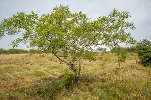 0 Green Dewitt Rd, Cuero, TX 77954 - Photo 26