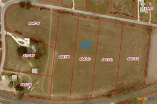 2445 Hartrick Bluff Spur Ln, Little River Academy, TX 76502 - Photo 4