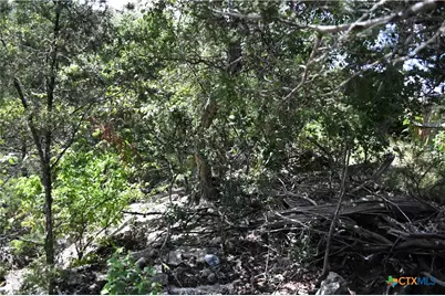 1318 Hidden Valley Drive, Spring Branch, TX 78070 - Photo 12