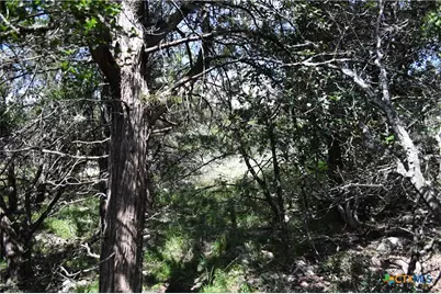 1318 Hidden Valley Drive, Spring Branch, TX 78070 - Photo 14
