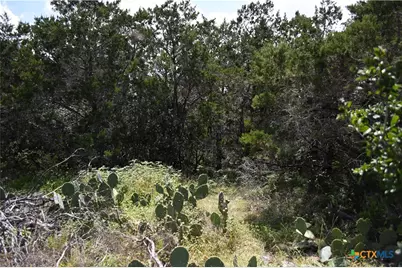 1318 Hidden Valley Drive, Spring Branch, TX 78070 - Photo 8