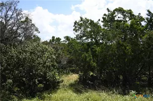 1318 Hidden Valley Dr, Spring Branch, TX 78070 - Photo 1