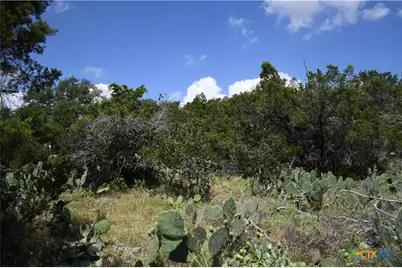 1318 Hidden Valley Drive, Spring Branch, TX 78070 - Photo 6