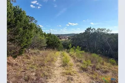 233 Enigma Avenue, Spring Branch, TX 78070 - Photo 8