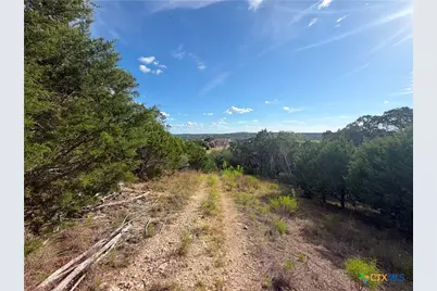 233 Enigma Avenue, Spring Branch, TX 78070 - Photo 2