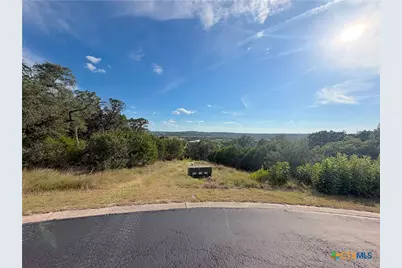 233 Enigma Avenue, Spring Branch, TX 78070 - Photo 22