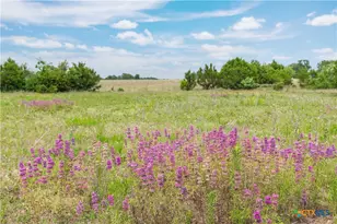 8160 Fm 2412, Gatesville, TX 76528 - Photo 20