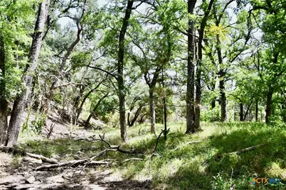 Tbd Cr 3340, Kempner, TX 76539 - Photo 38