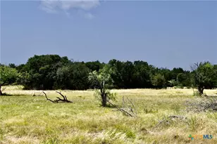 Tbd Cr 3340, Kempner, TX 76539 - Photo 2