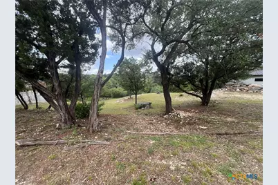 439 Twilight Drive, Canyon Lake, TX 78133 - Photo 14