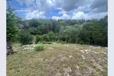 439 Twilight Drive, Canyon Lake, TX 78133 - Photo 2